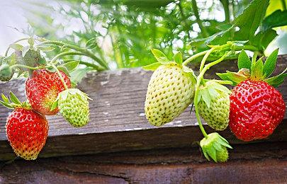 索尼为PS5版PlayStation商店添加辅助功能标签